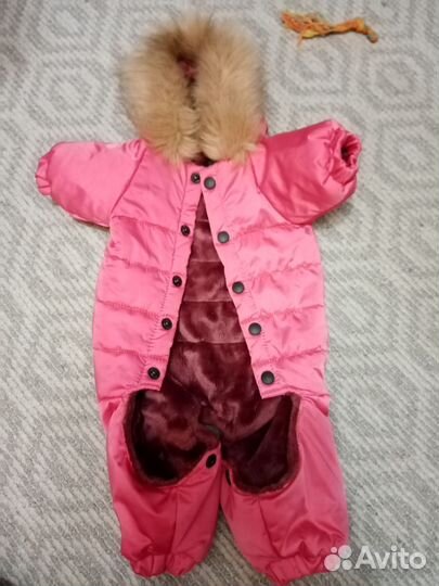 Зимний комбинезон для мелких собак