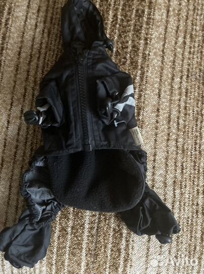 Одежда для собак