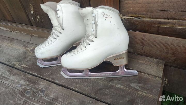 Коньки edea chorus 230