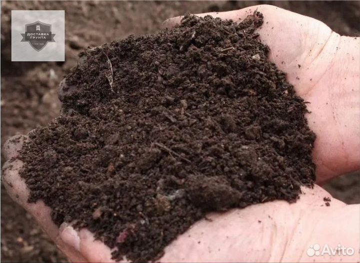 Купить землю чернозем
