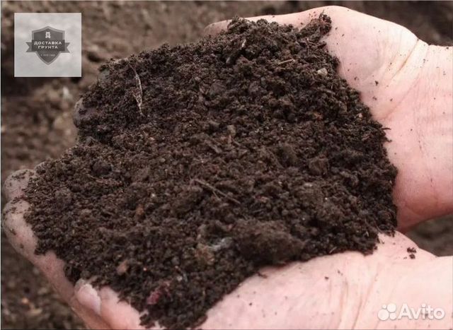 Купить землю чернозем