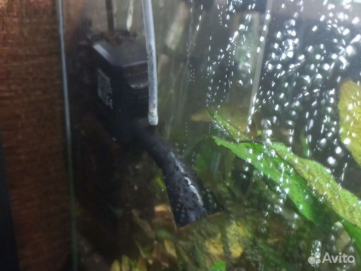 Аквариум aquael 20 литров с растениями и грунтом