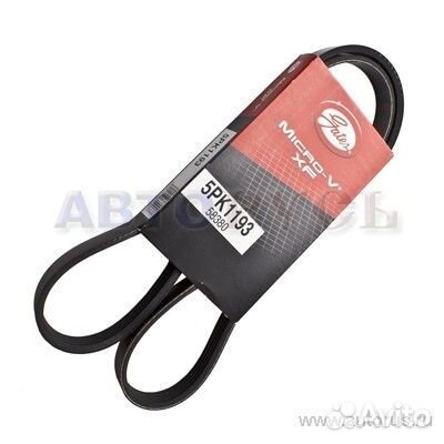 5PK1193 gates 5pk1193 Gates