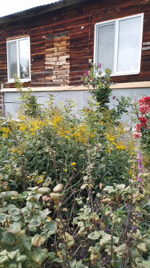 Дом 57,6 м² на участке 11 сот.