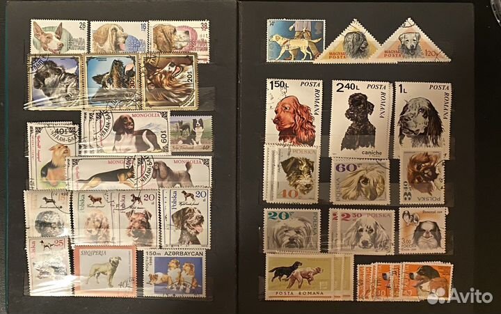 Почтовые марки по теме Собаки