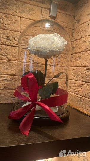 Вечная роза в колбе