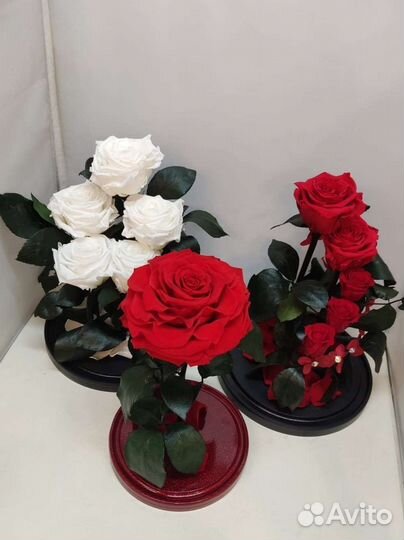 Роза в колбе оптом