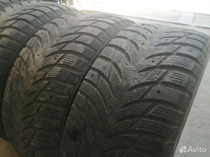 Blacklion W506 Ice Pioneer 205/55 R16 91H