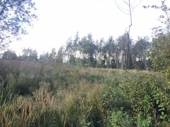 Участок 12 сот. (СНТ, ДНП)