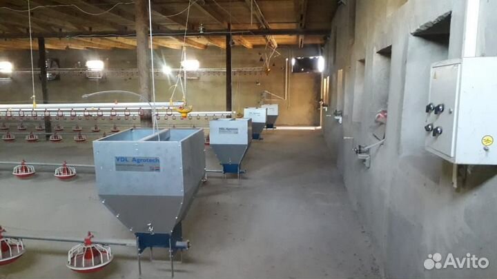 Оборудование для птичника