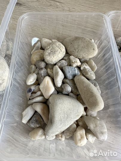 Камни для аквариумов / флорариумов