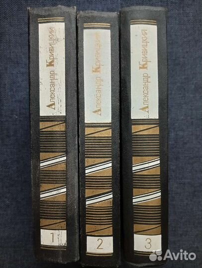 Конецкий.Ананьев. Ахматова. Гашек.и др