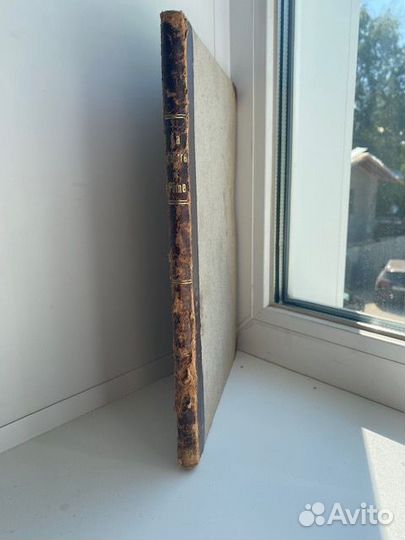 Карикатуры 