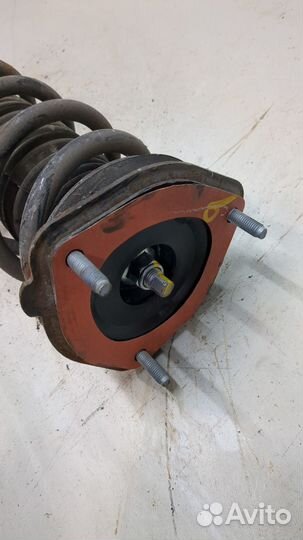 Амортизатор подвески Infiniti Q50, 2015