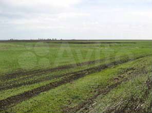 Участок 2 га (ИЖС)