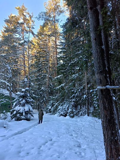 Участок 7 сот. (ИЖС)