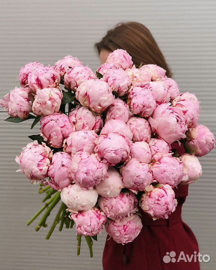 101 Роза Пионы 25 51 101 Роза