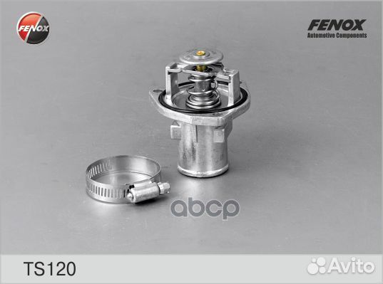 Термостат ts120 fenox
