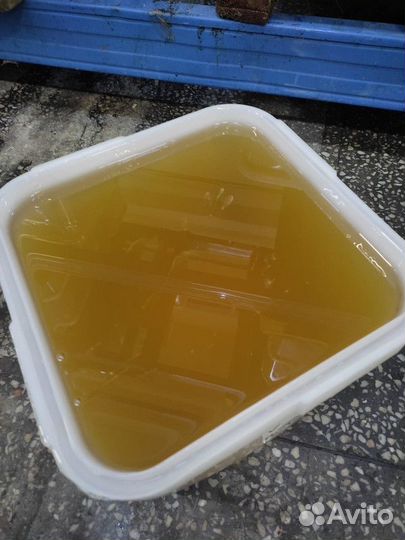 Свежий мёд липа Качка 2023 год Опт