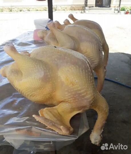 Домашняя индюшатина