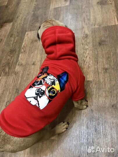 Комбинезон на собаку новый
