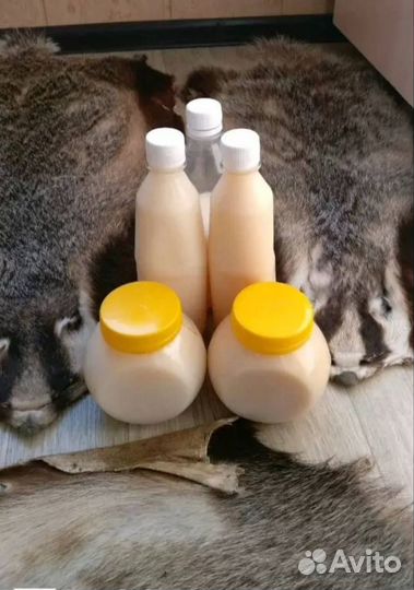 Барсучий жир Лечебный 2024г