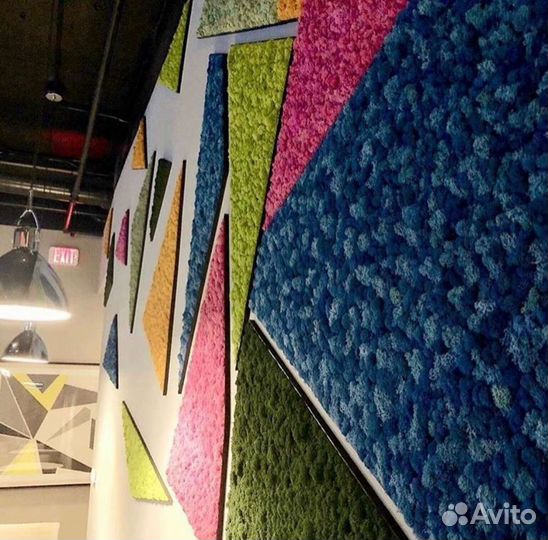 Мох ягель стабилизированный