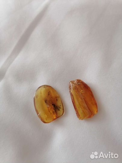 Янтари с инклюзами, с огромной древней мухой