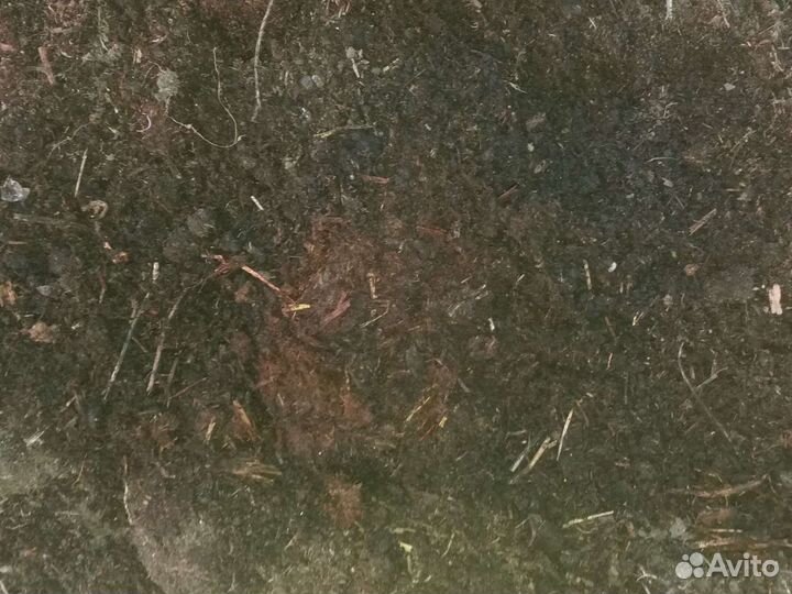 Перегной крс