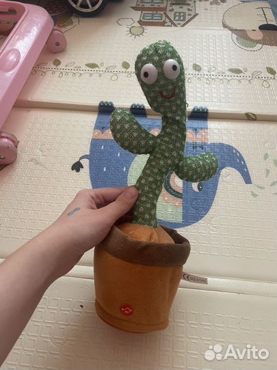 Поющий кактус