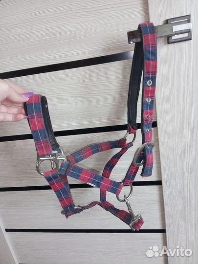 Для лошади, конный спорт