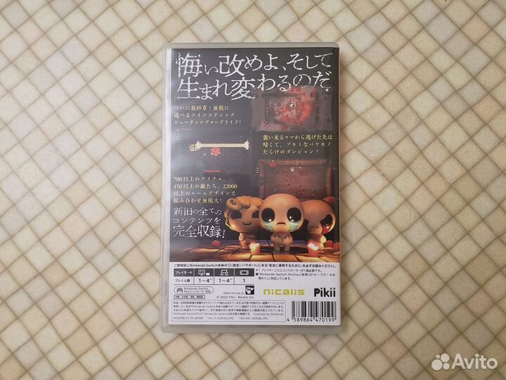 The Binding Of Isaac: Repentance Nintendo Switch