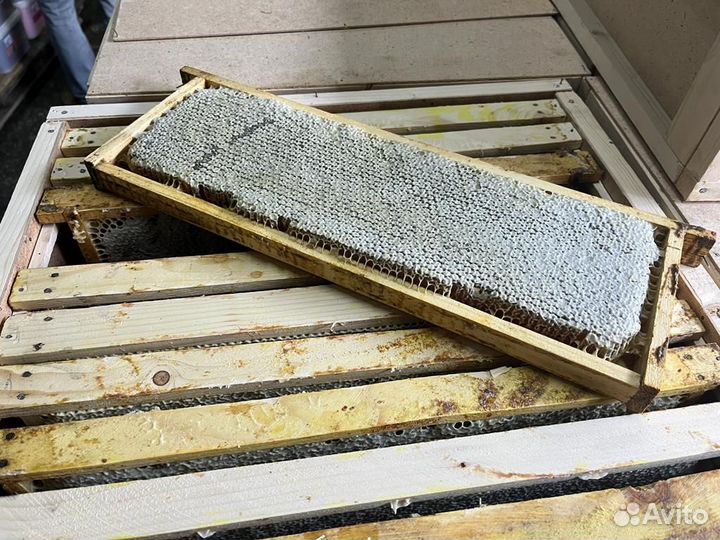 Мед сотовый Свежий урожай