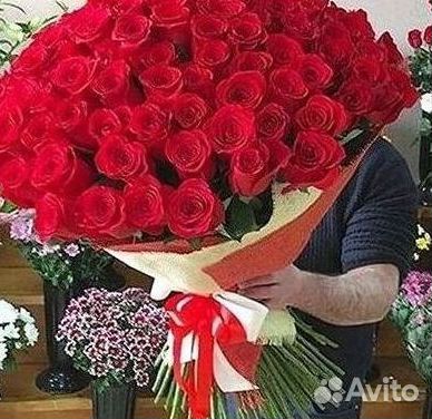 Высокие Розы Гиганты Доставка Круглосуточно