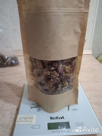 Цветы клевера