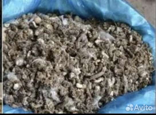 Куриный помет без примесей