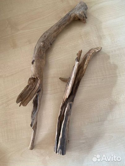 Коряги Driftwood
