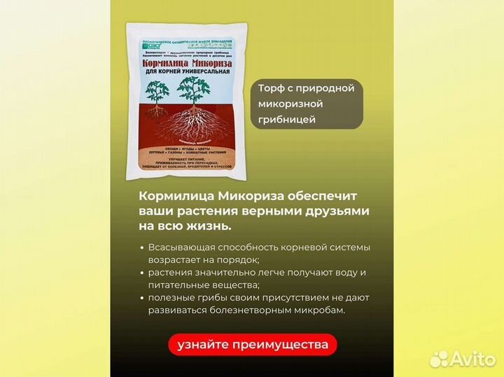 Кормилица Микориза для растений