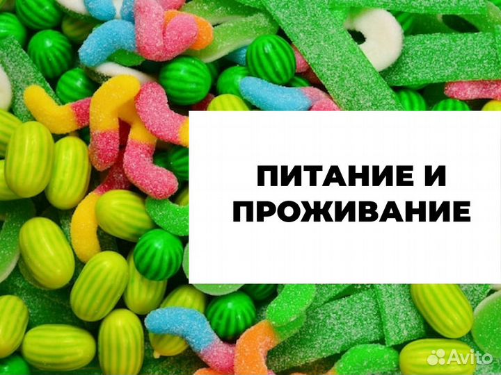 Вахта 30,45,60 Жильё Водитель штабелера