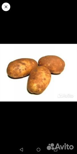 Продам картофель с доставкой