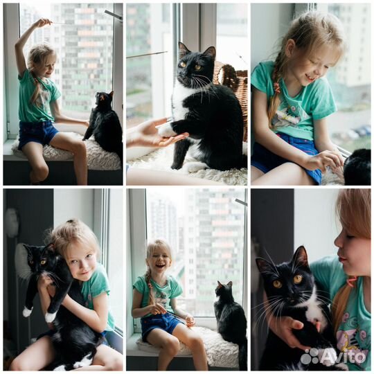 Профессиональный Фотограф