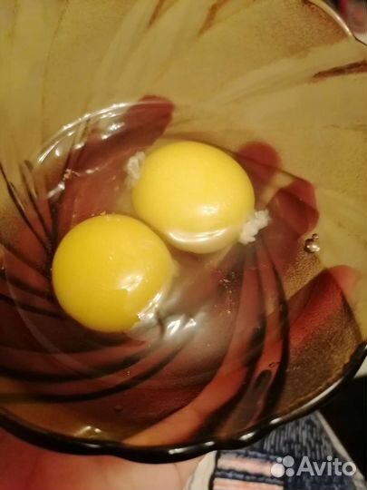 Домашние куриные яйца