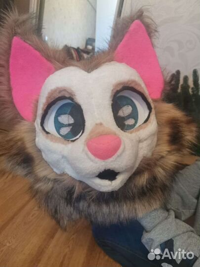 Фурсьют кот