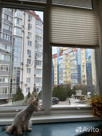 Окна пластиковые без монтажа