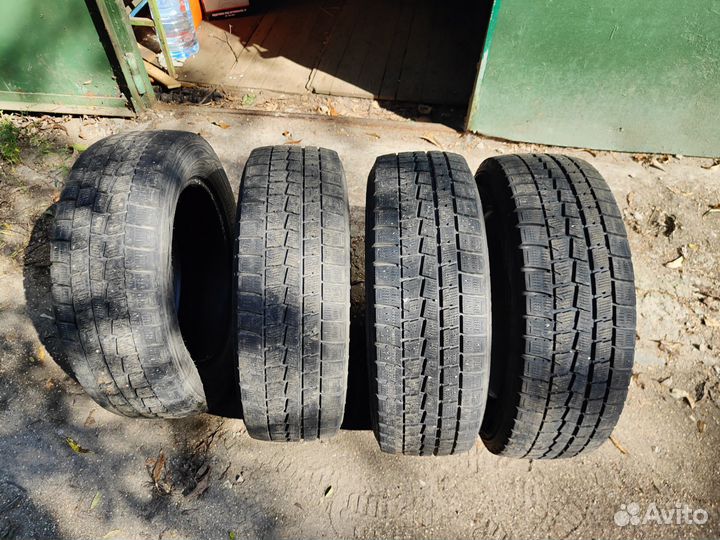 Dunlop Winter Maxx WM01 205/60 R16 92Q