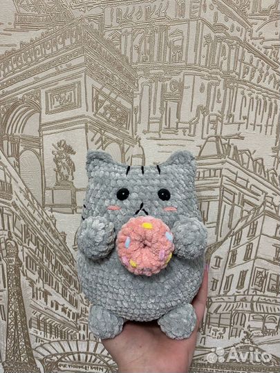 Котик Пушин