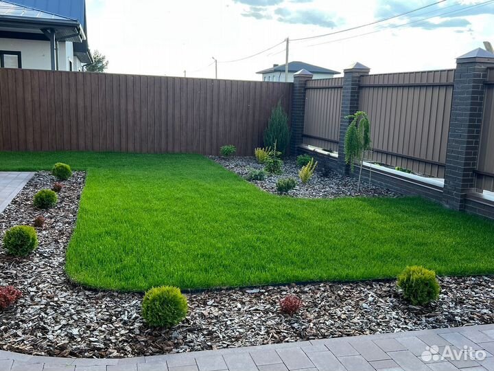 Рулонный газон 