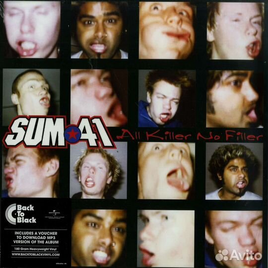 Sum 41 - All Killer No Filler винил