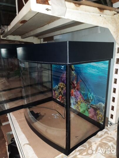 Террариумы аквариумы