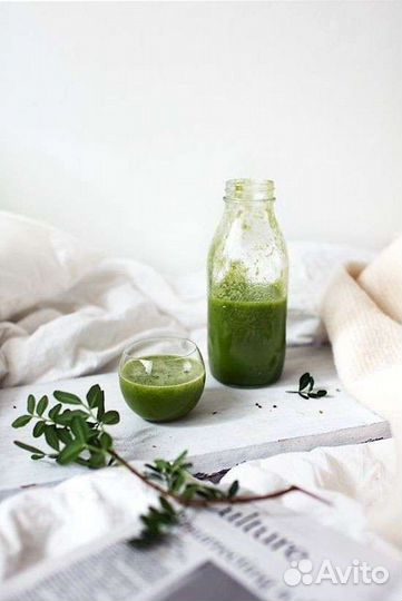 Сок из микрозелени и проростков концентрированный